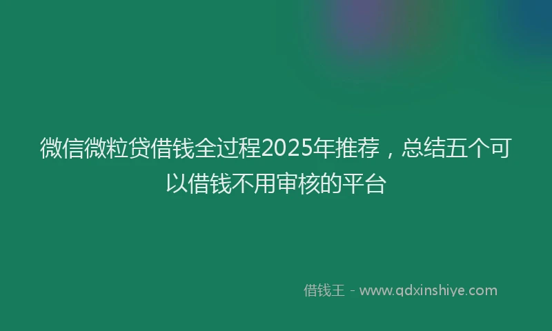 微信微粒贷借钱全过程2025年推荐，总结五个可以借钱不用审核的平台