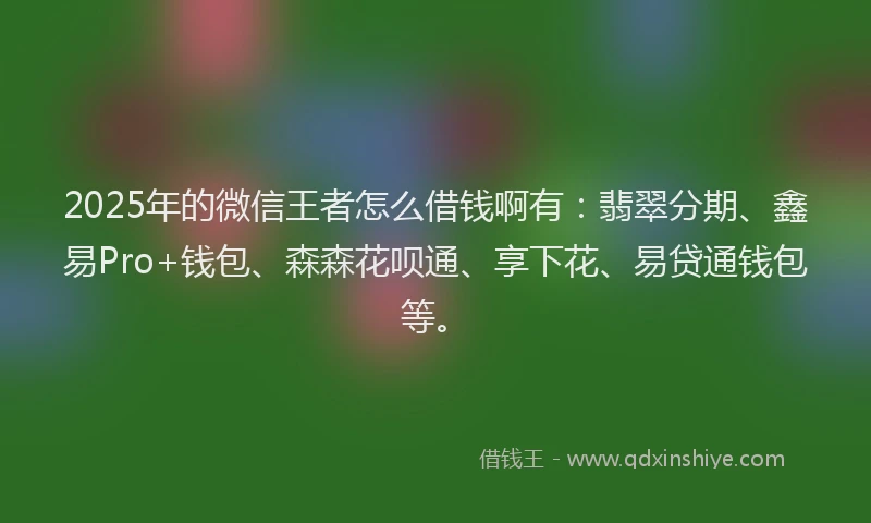 2025年的微信王者怎么借钱啊有：翡翠分期、鑫易Pro+钱包、森森花呗通、享下花、易贷通钱包等。