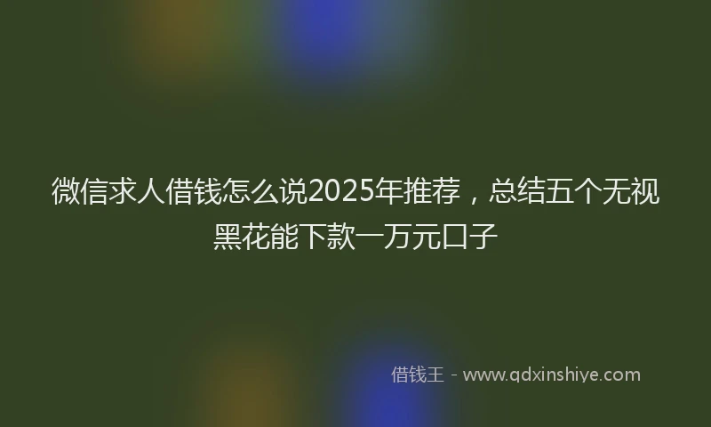 微信求人借钱怎么说2025年推荐，总结五个无视黑花能下款一万元口子