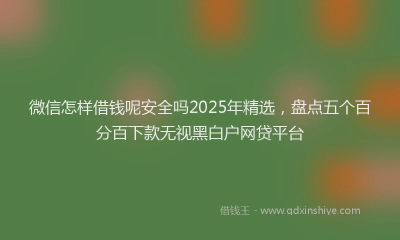 微信怎样借钱呢安全吗2025年精选，盘点五个百分百下款无视黑白户网贷平台
