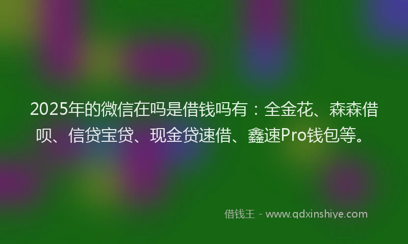 2025年的微信在吗是借钱吗有：全金花、森森借呗、信贷宝贷、现金贷速借、鑫速Pro钱包等。