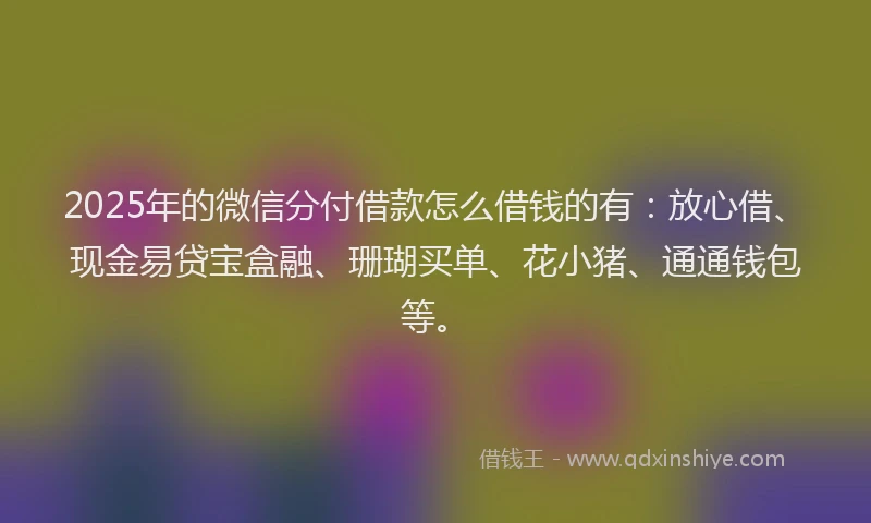 2025年的微信分付借款怎么借钱的有：放心借、现金易贷宝盒融、珊瑚买单、花小猪、通通钱包等。