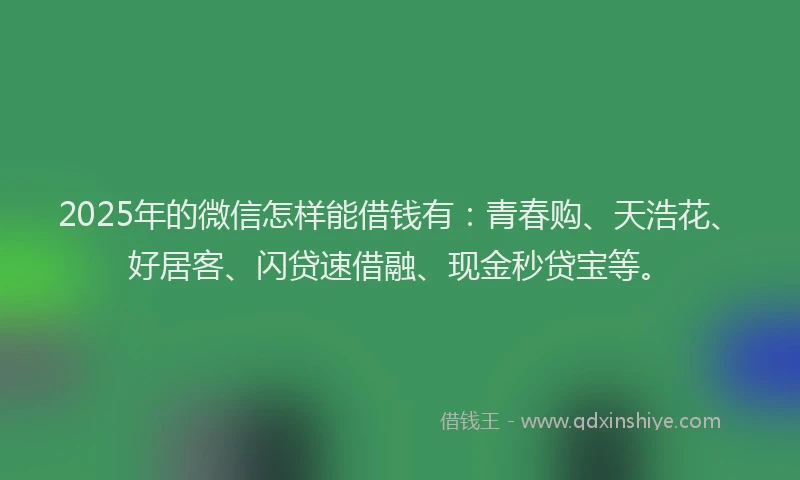 2025年的微信怎样能借钱有：青春购、天浩花、好居客、闪贷速借融、现金秒贷宝等。