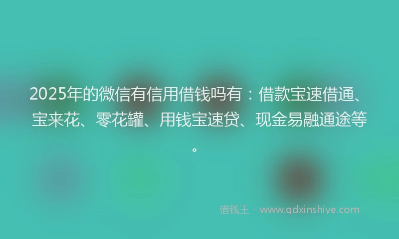 2025年的微信有信用借钱吗有：借款宝速借通、宝来花、零花罐、用钱宝速贷、现金易融通途等。