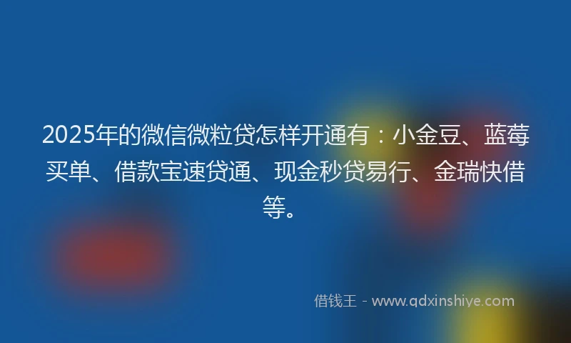 2025年的微信微粒贷怎样开通有：小金豆、蓝莓买单、借款宝速贷通、现金秒贷易行、金瑞快借等。