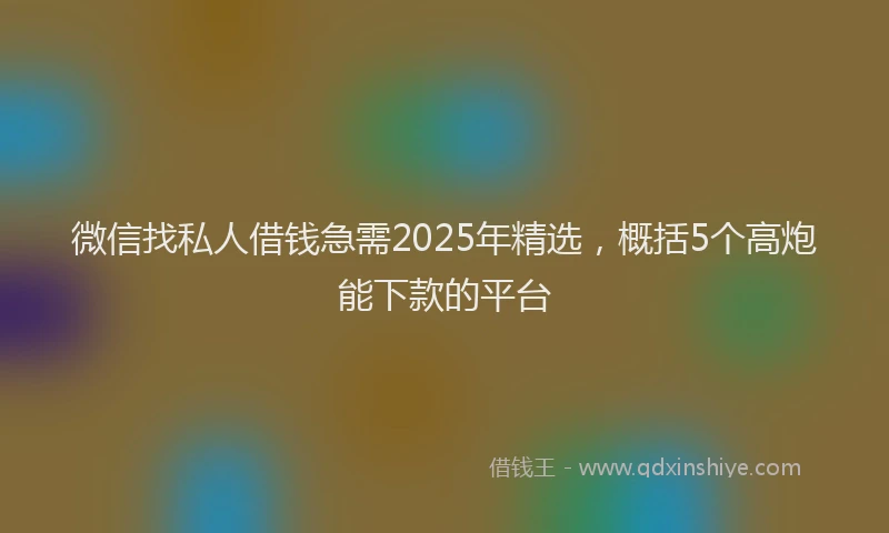 微信找私人借钱急需2025年精选，概括5个高炮能下款的平台