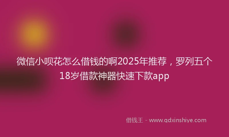 微信小呗花怎么借钱的啊2025年推荐，罗列五个18岁借款神器快速下款app