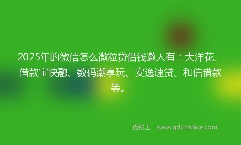 2025年的微信怎么微粒贷借钱邀人有：大洋花、借款宝快融、数码潮享玩、安逸速贷、和信借款等。