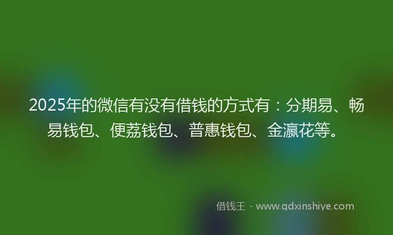 2025年的微信有没有借钱的方式有：分期易、畅易钱包、便荔钱包、普惠钱包、金瀛花等。
