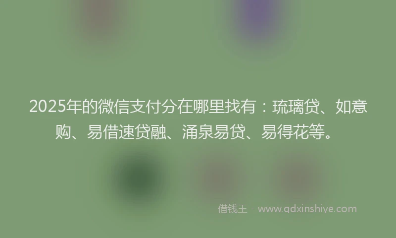 2025年的微信支付分在哪里找有：琉璃贷、如意购、易借速贷融、涌泉易贷、易得花等。