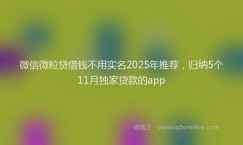 微信微粒贷借钱不用实名2025年推荐，归纳5个11月独家贷款的app