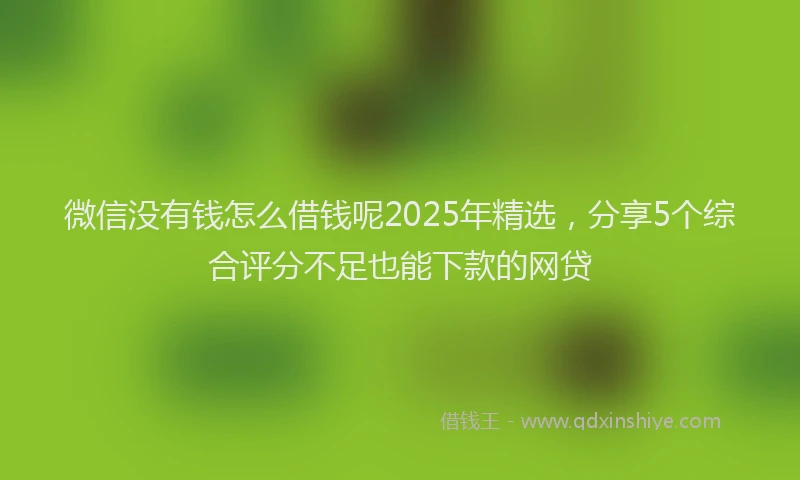 微信没有钱怎么借钱呢2025年精选，分享5个综合评分不足也能下款的网贷