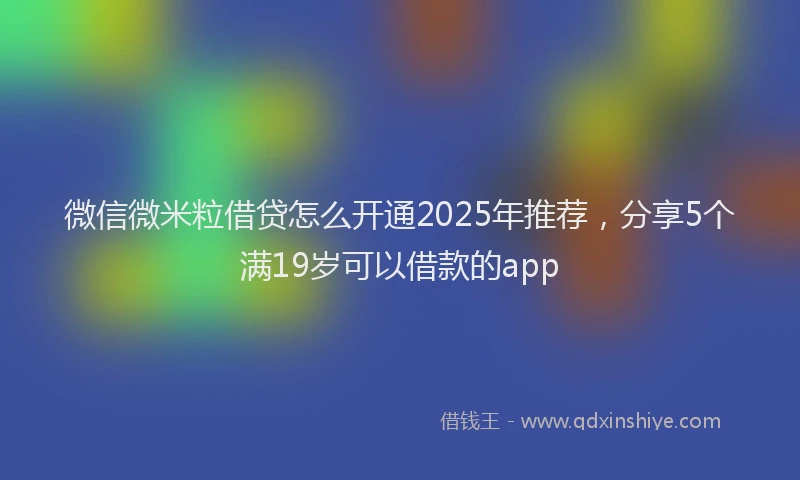 微信微米粒借贷怎么开通2025年推荐，分享5个满19岁可以借款的app
