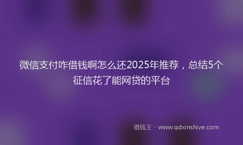 微信支付咋借钱啊怎么还2025年推荐，总结5个征信花了能网贷的平台