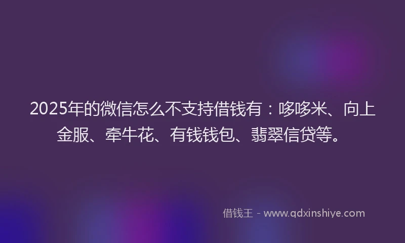 2025年的微信怎么不支持借钱有：哆哆米、向上金服、牵牛花、有钱钱包、翡翠信贷等。