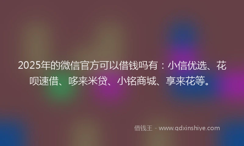 2025年的微信官方可以借钱吗有：小信优选、花呗速借、哆来米贷、小铭商城、享来花等。