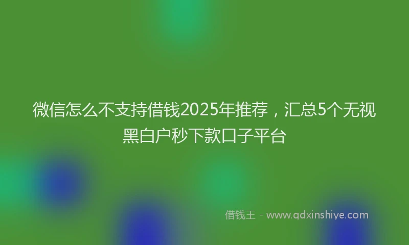 微信怎么不支持借钱2025年推荐，汇总5个无视黑白户秒下款口子平台