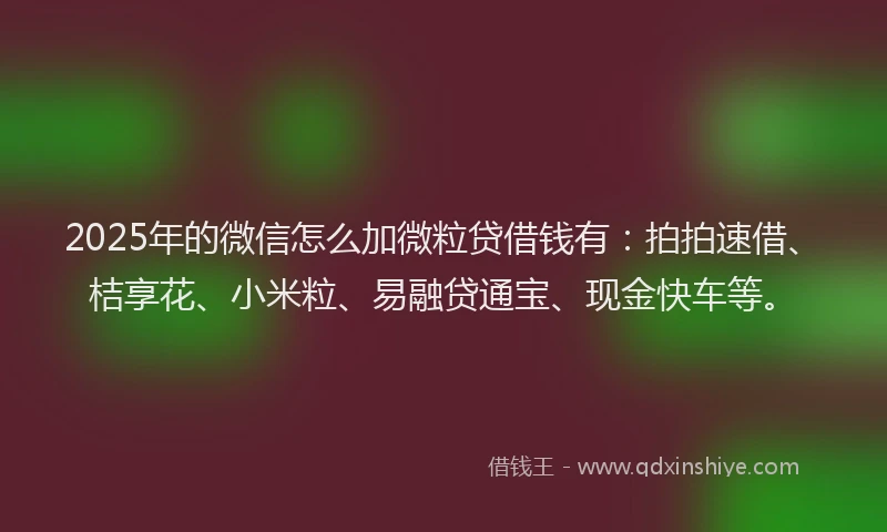 2025年的微信怎么加微粒贷借钱有：拍拍速借、桔享花、小米粒、易融贷通宝、现金快车等。