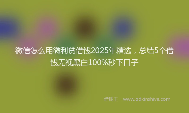 微信怎么用微利贷借钱2025年精选，总结5个借钱无视黑白100%秒下口子
