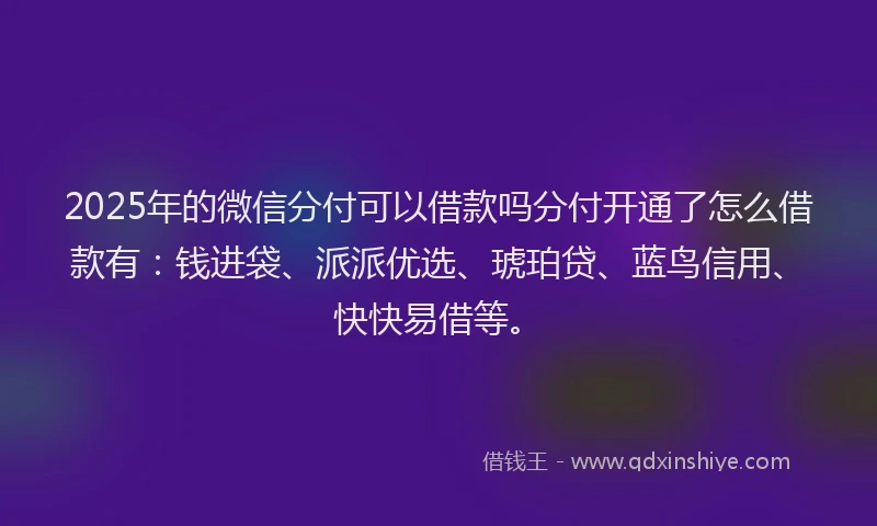 2025年的微信分付可以借款吗分付开通了怎么借款有：钱进袋、派派优选、琥珀贷、蓝鸟信用、快快易借等。