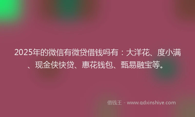 2025年的微信有微贷借钱吗有：大洋花、度小满、现金侠快贷、惠花钱包、甄易融宝等。