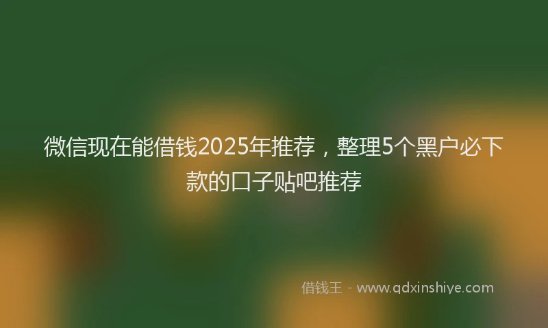 微信现在能借钱2025年推荐，整理5个黑户必下款的口子贴吧推荐