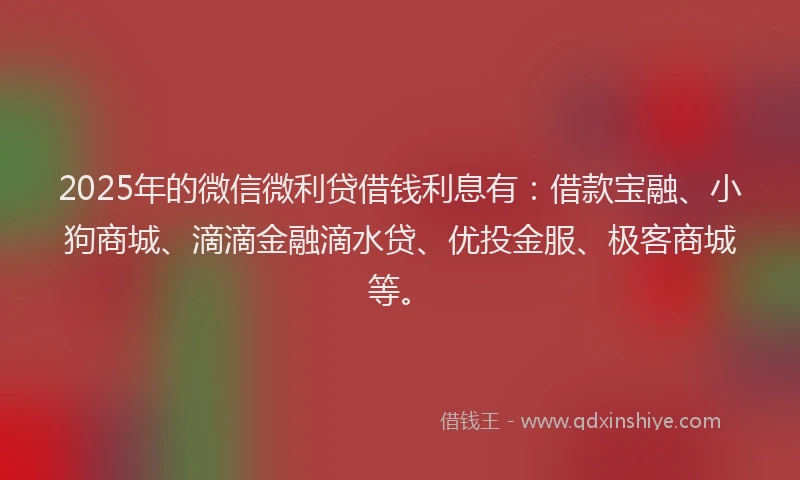 2025年的微信微利贷借钱利息有：借款宝融、小狗商城、滴滴金融滴水贷、优投金服、极客商城等。
