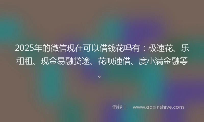 2025年的微信现在可以借钱花吗有：极速花、乐租租、现金易融贷途、花呗速借、度小满金融等。