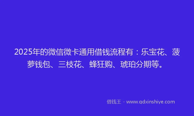 2025年的微信微卡通用借钱流程有：乐宝花、菠萝钱包、三枝花、蜂狂购、琥珀分期等。