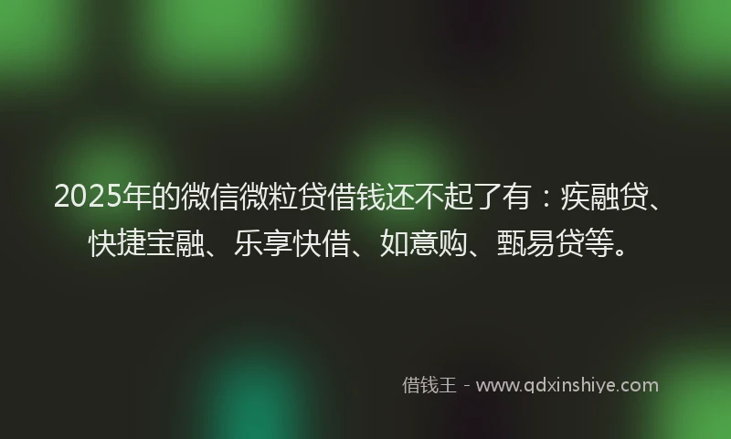 2025年的微信微粒贷借钱还不起了有：疾融贷、快捷宝融、乐享快借、如意购、甄易贷等。