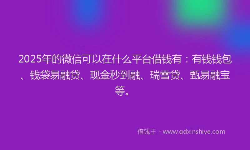 2025年的微信可以在什么平台借钱有：有钱钱包、钱袋易融贷、现金秒到融、瑞雪贷、甄易融宝等。