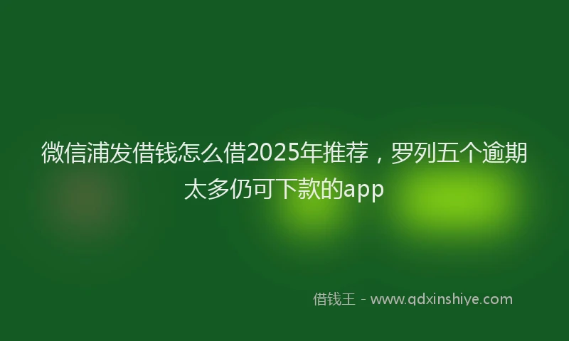 微信浦发借钱怎么借2025年推荐，罗列五个逾期太多仍可下款的app
