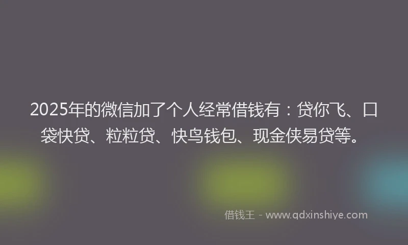 2025年的微信加了个人经常借钱有：贷你飞、口袋快贷、粒粒贷、快鸟钱包、现金侠易贷等。
