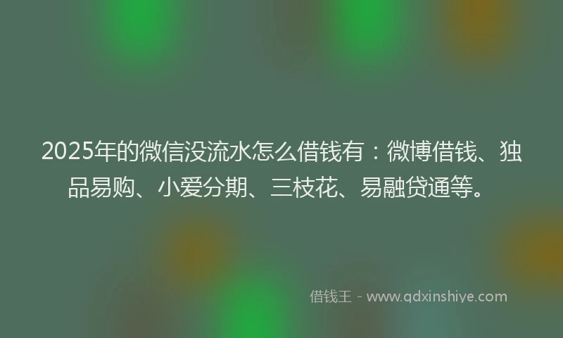 2025年的微信没流水怎么借钱有：微博借钱、独品易购、小爱分期、三枝花、易融贷通等。