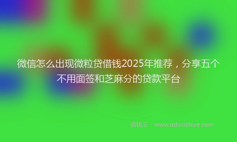微信怎么出现微粒贷借钱2025年推荐，分享五个不用面签和芝麻分的贷款平台
