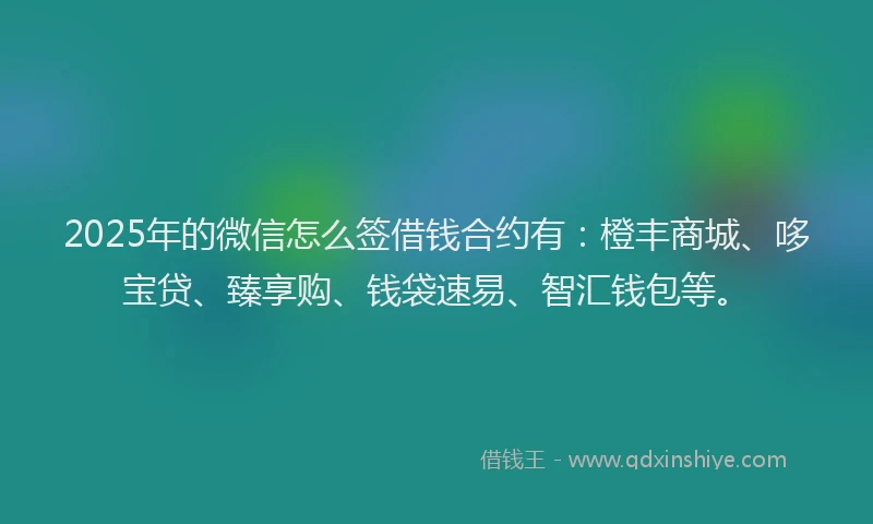2025年的微信怎么签借钱合约有：橙丰商城、哆宝贷、臻享购、钱袋速易、智汇钱包等。