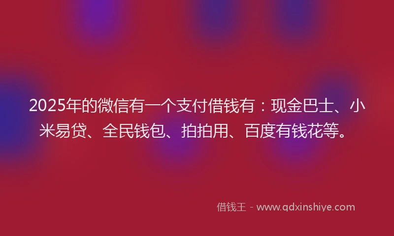 2025年的微信有一个支付借钱有：现金巴士、小米易贷、全民钱包、拍拍用、百度有钱花等。