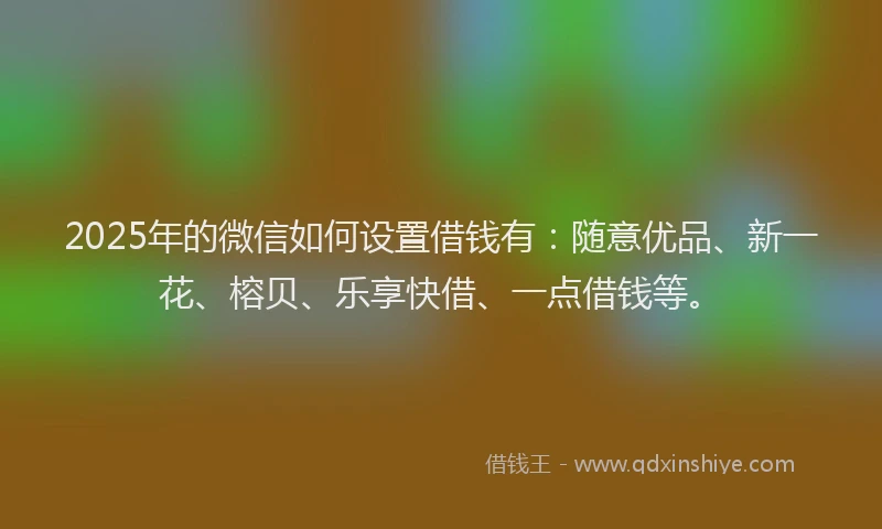 2025年的微信如何设置借钱有：随意优品、新一花、榕贝、乐享快借、一点借钱等。