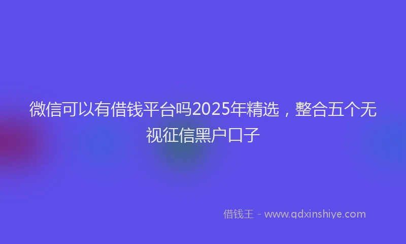 微信可以有借钱平台吗2025年精选，整合五个无视征信黑户口子