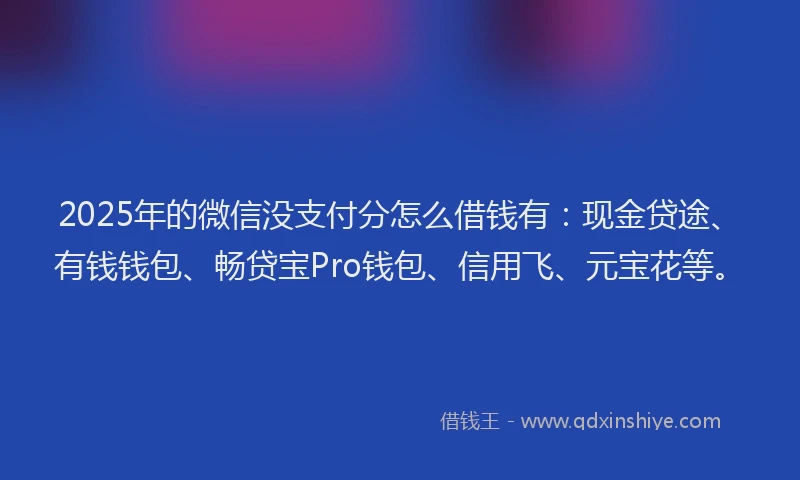 2025年的微信没支付分怎么借钱有：现金贷途、有钱钱包、畅贷宝Pro钱包、信用飞、元宝花等。