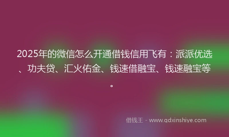 2025年的微信怎么开通借钱信用飞有：派派优选、功夫贷、汇火佑金、钱速借融宝、钱速融宝等。