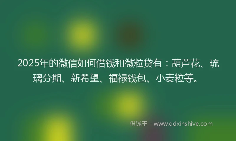 2025年的微信如何借钱和微粒贷有：葫芦花、琉璃分期、新希望、福禄钱包、小麦粒等。
