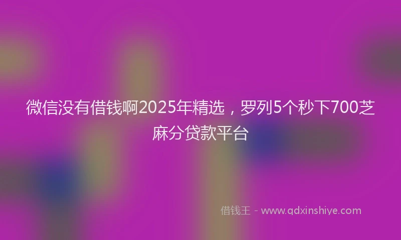 微信没有借钱啊2025年精选，罗列5个秒下700芝麻分贷款平台