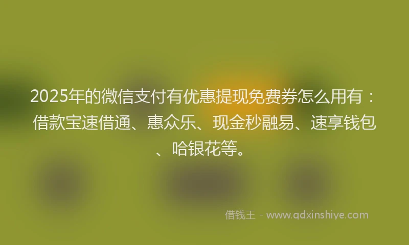 2025年的微信支付有优惠提现免费券怎么用有：借款宝速借通、惠众乐、现金秒融易、速享钱包、哈银花等。