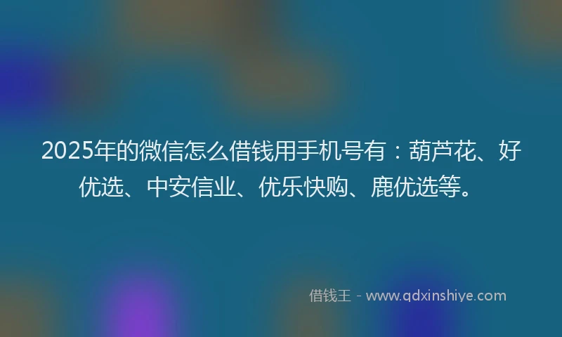 2025年的微信怎么借钱用手机号有：葫芦花、好优选、中安信业、优乐快购、鹿优选等。