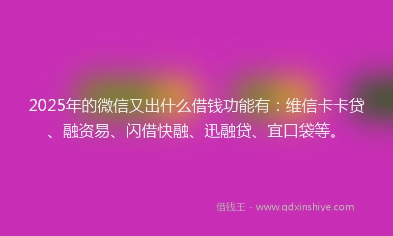 2025年的微信又出什么借钱功能有：维信卡卡贷、融资易、闪借快融、迅融贷、宜口袋等。
