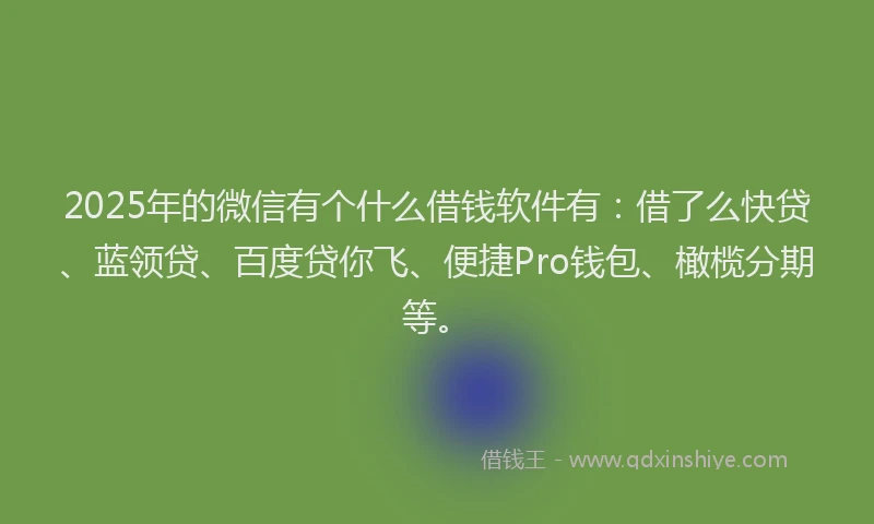 2025年的微信有个什么借钱软件有：借了么快贷、蓝领贷、百度贷你飞、便捷Pro钱包、橄榄分期等。
