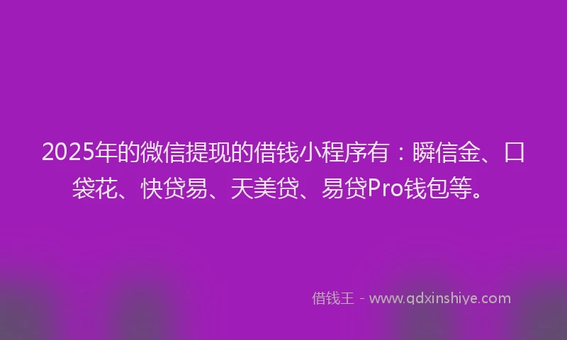 2025年的微信提现的借钱小程序有：瞬信金、口袋花、快贷易、天美贷、易贷Pro钱包等。