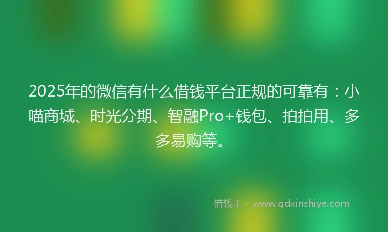 2025年的微信有什么借钱平台正规的可靠有：小喵商城、时光分期、智融Pro+钱包、拍拍用、多多易购等。