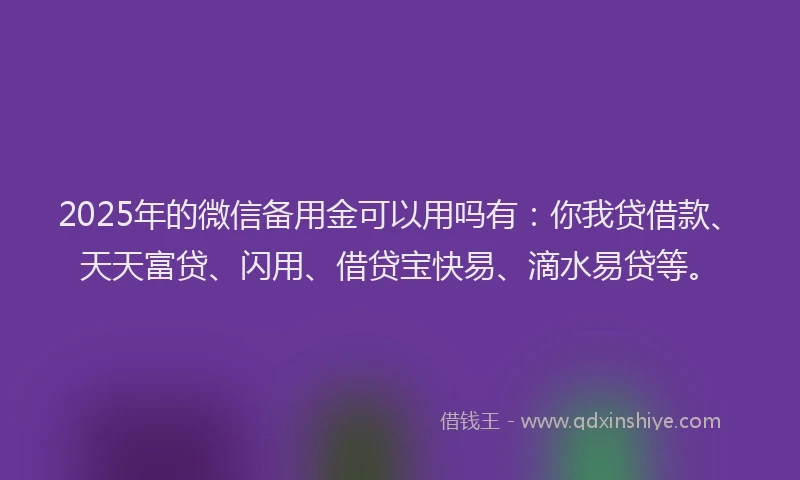 2025年的微信备用金可以用吗有：你我贷借款、天天富贷、闪用、借贷宝快易、滴水易贷等。